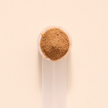 AHCC® - Kinoko® Powder + Free Frother QUALITY OF LIFE